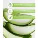 NIVEA Natural Balance Moisturizing Day Cream 50 ml with organic aloe vera jojoba and almond Day cream for normal and combination skin - Buy Online on GoSupps.com