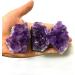 1/5PC 1PC/50-60g Natural Raw Purple Brazilian Amethyst Quartz Crystal Cluster Druzy Geode Stone Specimen Home Decor Craft Ornament ZJGIDTEM (Color : 1pc) - Buy Online on GoSupps.com
