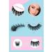 False Eyelashes Clear Band Mink Lashes Fluffy 5D Soft Fake Eyelashes Faux Mink Lashes Natural Look Cat Eye 14MM Fluffy Light Volume Eyelash 10 Pairs  - Buy Online on GoSupps.com