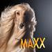 Best Shot Pet The MAXX Ultra Concentrate Miracle Detangler 8.5 oz (UMXX-1) - Buy Online on GoSupps.com