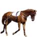 Hunters Saddlery Ultimate Horse Lunging Training Aid System Lunge Equipment for Pony Cob Horse Draft Size Black 03. Cob/Horse