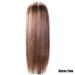 Battnot Women's Brown Slope Synthetic Wig with Wig Cap - Heat-Resistant 24 Inch Natural Costume Party Wig - Buy Online on GoSupps.com