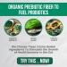 Prebiotics and Probiotics in One Supplement | 30 billion CFU from 9 species with 3 Extra Herbs: Organic Spirulina Barley grass Chicory Extract (30 Veggie Capsules) - Buy Online on GoSupps.com