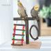 XLpeixin Bird Playground Parrot Playstand | Exercise Perch Gym Stand for Small-Medium Birds | Portable Hang Swing Toys for Parakeets, Canaries, Cockatiels - Buy Online on GoSupps.com