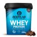 Bodylab24 Whey Protein Powder Chocolate Brownie 2kg Chocolate Brownie 2 kg (1 pack)