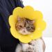 Buy Tecatty Pets Calant Crauses Adjustable Cat Collar - Lightweight Elizabethan Neck Collar for Cats (S Yellow) - Protect Your Pet - Buy Online on GoSupps.com