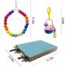 Deloky 8 Pack Bird Swing Chewing Toys - Parrot Hammock Bell Toys for Small Parakeets, Cockatiels, Conures, Finches, Macaws, Love Birds - Bird Toy Set - Buy Online on GoSupps.com