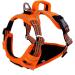 Funfox Adjustable No-Pull Dog Harness & Tableware for Large Dogs | Breathable & Safe - Orange - Buy Online on GoSupps.com