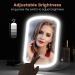 Rechargeable Lighted Travel Makeup Mirror with 10X Magnification - 3 Color Lighting, Touch Screen Dimming - Slim LED Vanity Mirror for Cosmetic, Portable - Buy Online on GoSupps.com