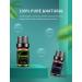 LIVAANO 100% Natural Essential Oils for Diffusers - 12 Aromatherapy Oils for Humidifiers | Lavender, Eucalyptus, Peppermint, Tea Tree & More - Buy Online on GoSupps.com
