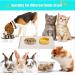 Umtiti Waterproof Non-Slip Dog Bowl Pad for Cats & Dogs - 60x40cm Cream - Dishwasher-Safe Silicone Mat - Buy Online on GoSupps.com