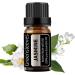 Jasmine Essential Oil - 10ml by GREENSLEEVES | Pure & Natural - Buy Online on GoSupps.com