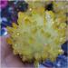 Crystal Rough Natural Crystal Rough 1pcs 300-700g Natural Crystal Cluster Electroplated Yello Crystal Cluster Reiki Stone Crystal Tip House Decorative (Size : 500-600g) - Buy Online on GoSupps.com