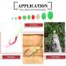Hilitchi 1050 Pcs Luminous Fishing Beads Assorted Soft Plastic Glow Eggs for Fishing - All Glow in The Dark, Oval Round Shaped, 9 Sizes - Stream, Pool, Lake, River - Buy Online on GoSupps.com