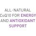 Natural Factors Coenzyme Q10 100 mg - 240 Softgels | Heart Health & Energy Support - Buy Online on GoSupps.com