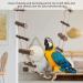 Handmade Bird Toys - 12-Step Wooden Climbing Ladder & Swing for Parrots & Nymphensittiche | Durable & Fun - Buy Online on GoSupps.com