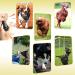 HGOCAHUZI Dog Training Clickers Dog Whistle Pet Clicker 2-in-1 Trainer Practical Pet Training Tools with Lanyard for Dogs Cats Birds Puppy Training - Buy Online on GoSupps.com