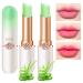 BINGBRUSH 2 Pcs Aloe Vera Color Changing Lipstick Queen PH Mood Long Lasting Labiales Lip Gloss Lip Balm Tinted Magic Lip Stain Glossly Makeup Moisturize Lipstick Set for Women 2 Count (Pack of 1) 2 pcs Aloe lipstick