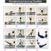 Buy Purple Exercise Bands - Latin Elastic Yoga Stretching Strap for Resistance Dance Gymnastics Pilates & Physical Therapy - 115x4cm - Buy Online on GoSupps.com