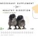 Manna Pro Chick Grit  Digestive Supplement for Young Poultry and Bantam Breed  Probiotics to Support Digestion  No Artificial Ingredients or Preservatives  Insoluble Crushed Granite - Buy Online on GoSupps.com