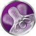 Philips Avent Natural Baby Bottle Fast Flow Nipple 6M+ Flow 4 SCF654/43 (Pack of 4) - Buy Online on GoSupps.com