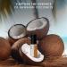 DEMETER Coconut Perfume Oil Roll on .33 oz Long-Lasting - Buy Online on GoSupps.com