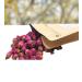 Rose Red Rose Buds 8oz