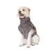 Lill's dog bathrobe 100% organic cotton Organic Stone Grey (Grey) (XS: 45 cm back length) XS: 45 cm back length Stone Grey (Grey)