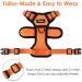 Breakproof Cat Leash Set & Adjustable Soft Kitten Vest - Reflective Stripes | Orange Small Dishes for Kittens - Buy Online on GoSupps.com