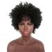 Jier Natural Black Short Kinky Curly Afro Wig for Black Women | Synthetic Afro Wigs - One Size - Buy Online on GoSupps.com