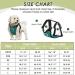 Slowton Dog Harness with Safety Belt for Cars - Breathable Latex Puppy Harness for Everyday Sports - XS Green - Buy Online on GoSupps.com