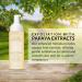 Flori Roberts Perfect Tone Cleansing Foam | Gentle Face Wash for Women of Color - Nourishing & Hydrating for All Skin Types - Buy Online on GoSupps.com