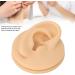 Human Right Ear Model Human Ear Model Clear Internal External Structure Soft Silicone Waterproof for Ear Learning for Suppliers - Buy Online on GoSupps.com