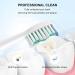 8 Pack Philips Sonicare Replacement Toothbrush Heads with Cover - Soft DuPont Bristles for Oral Health - Buy Online on GoSupps.com