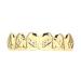 Buy Gilded Hip-Hop Braces | Strong Compatibility & Portable Tools | Gold Teeth Fashion - Buy Online on GoSupps.com