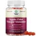 Apple Cider Vinegar Gummies with the Mother - Natural Energy Supplement ACV Gummies with Mother for Body Cleanse Immune Support and Gut Health-Delicious Gummy ACV Supplement with Beet Root Powder120ct 120 Count (Pack of ...
