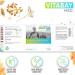 Vitabay Frankincense 400 mg Vegan Capsules - High-Dose Boswellia Serrata - 360 Count Incense Tablets for Maximum Concentration - Buy Online on GoSupps.com