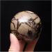 Natural Crystal Rough Ornament 1pc Reiki Septarian Sphere Decorative Polished Crystal Stone Balls for Fengshui Decoration Gift Decoration 1pc 60-70mm - Buy Online on GoSupps.com