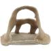 Buy Women's Beige Caramel Ballet Shoes - Stylish & Comfortable for All Occasions - Buy Online on GoSupps.com