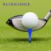 ENHUA Golf Plastic Tees 120 Pack - Unbreakable 3-1/4 Inch Long Blue Tees - Low Friction Bulk Tees - Mixcolor - Buy Online on GoSupps.com