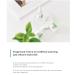 Cica 100 Soothing Ampoule - 30ml | Soothing Skincare for Irritated Skin | International Shipping Available - Buy Online on GoSupps.com