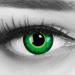 Funnylens 1 pair of colored black green crazy fun green werewolf year contact lenses perfect for carnival wounds blood or body parts with free contact lens containers without strength!