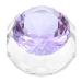 minkissy Nail Art Crystal Cup Manicure Dish Bowl Nail Art Dappen Cup Container with Lid Crystal Nail Art Dappen Bowl Nail Liquid Cup Nail Cup with Lid With Cover Purple Glass White Crystal