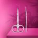 STALEKS PRO Expert 50 Type 3 Professional Cuticle Scissors - Pack of 1 - Model SE-50/3 - Buy Online on GoSupps.com