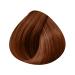 L'Oréal Professionnel Tone on Tone Cream Gel Coloring 8.43: Light Copper Golden Blonde
