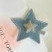 hgnxa Cute Hair Clips Cloth Star Hair Pins for Women Star Hair Clips Crease Hair Clips Bend Hair Barrettes for Party - Buy Online on GoSupps.com