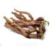 RAW HERBS/JADI BOOTI DRIED DANDELION ROOTS SINGHPARNI JADD TARAXACUM OFFICINALE (100GM)