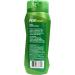 Pert Plus Shampooing et apr s-shampooing 2 en 1 Classic Clean 382 7 gram Lot de 3 - Buy Online on GoSupps.com