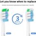 Philips Sonicare Toothbrush Replacement Heads - 10 Pack Compatible Electric Brush Heads for Ultimate Clean - Buy Online on GoSupps.com