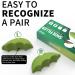 Shoe Fillers Toe Filler Inserts Cowhide Heel Pad for Loose Shoes - Men & Women | Green (Half to One Size Bigger) - Buy Online on GoSupps.com